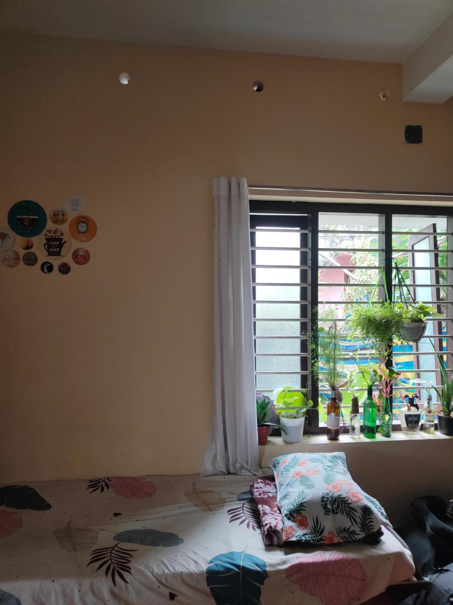 Jeehaa Homestay Alappuzha Ngoại thất bức ảnh