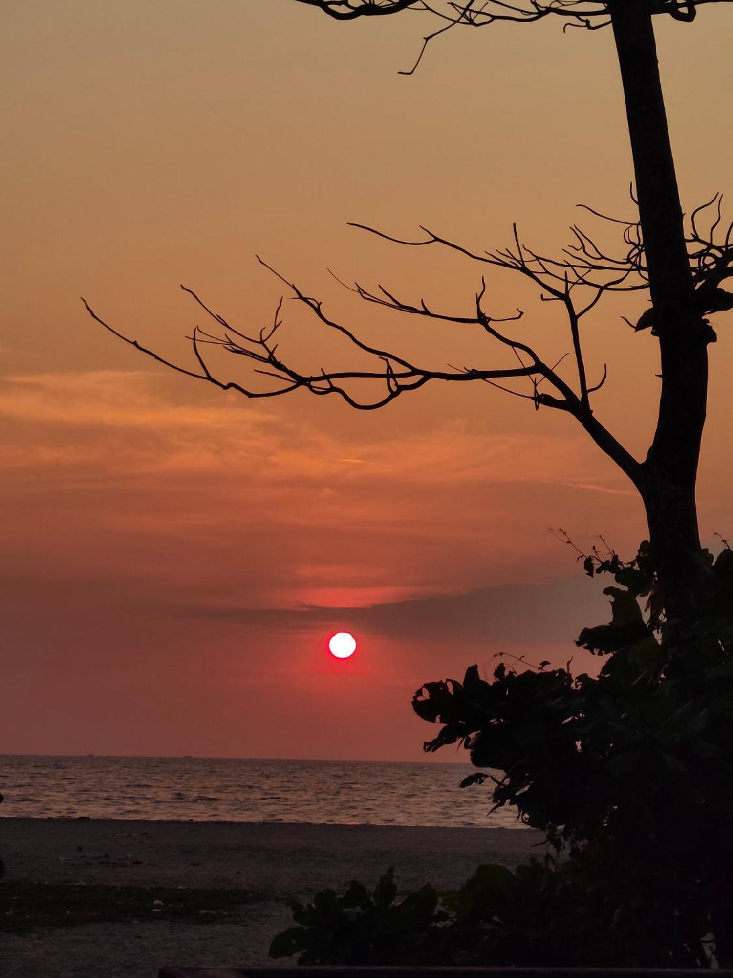 Jeehaa Homestay Alappuzha Ngoại thất bức ảnh